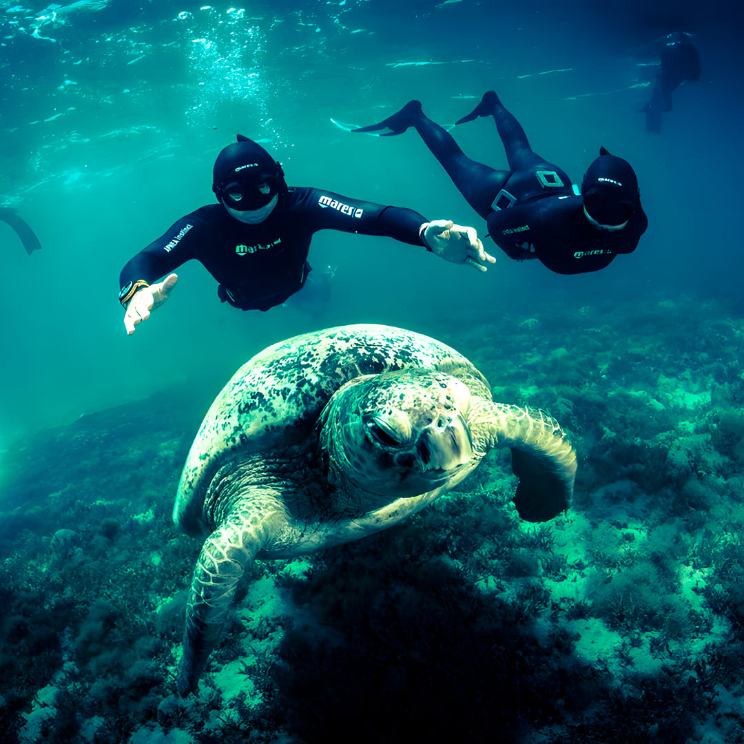 Private Open Water Scuba Diver in Central Coast