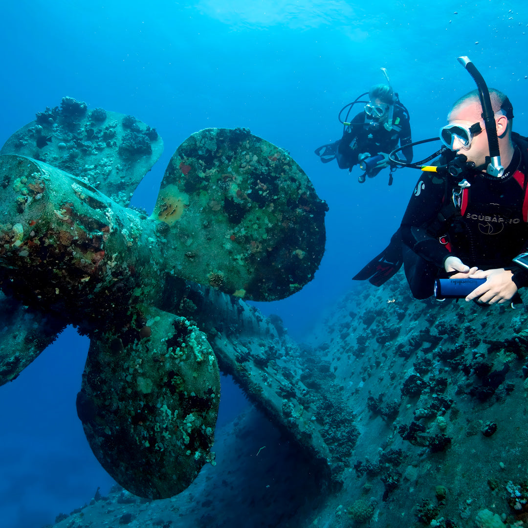 Try Scuba Diving in Central Coast Sydney