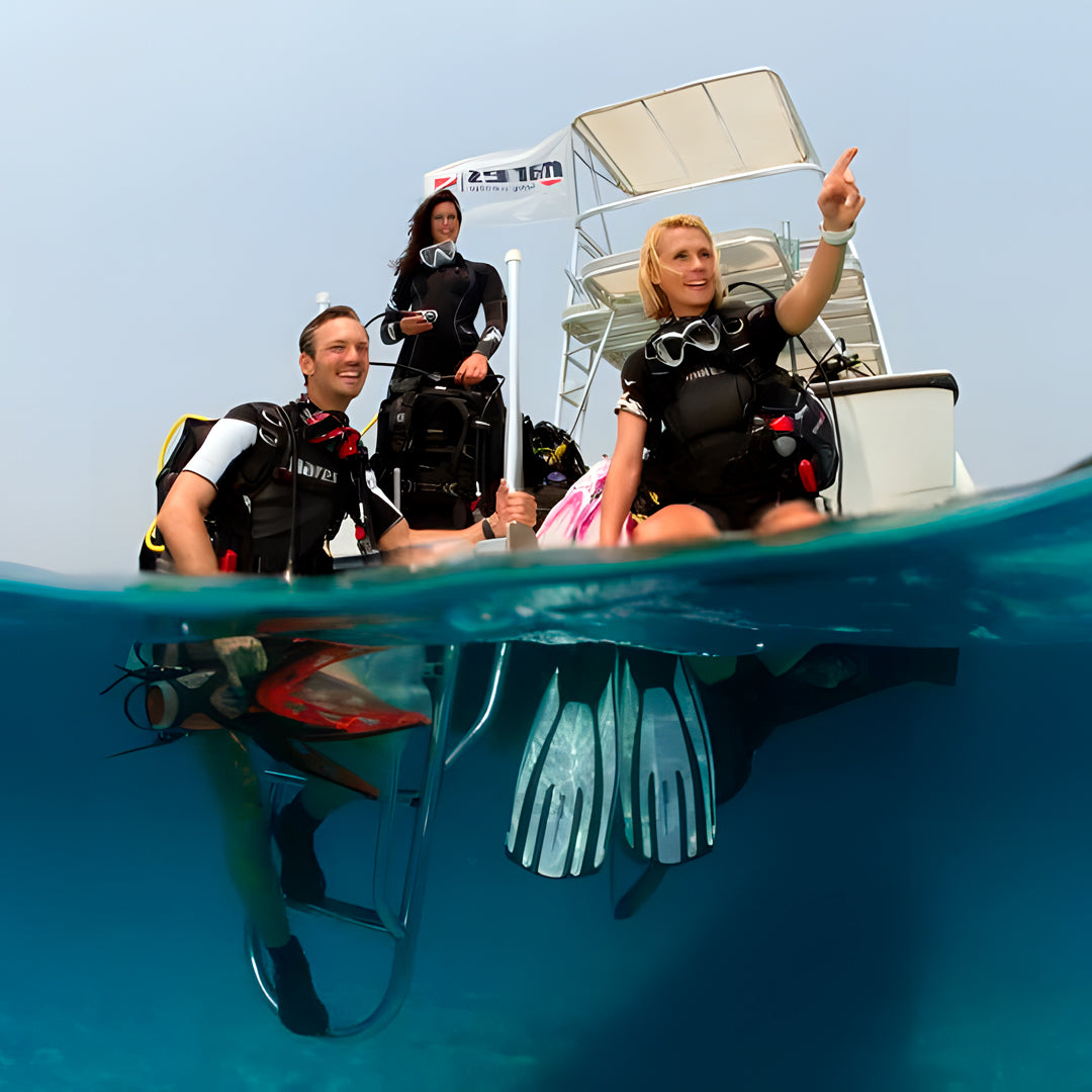 Fish Rock Cave Underwater Tunnel Dive Trip