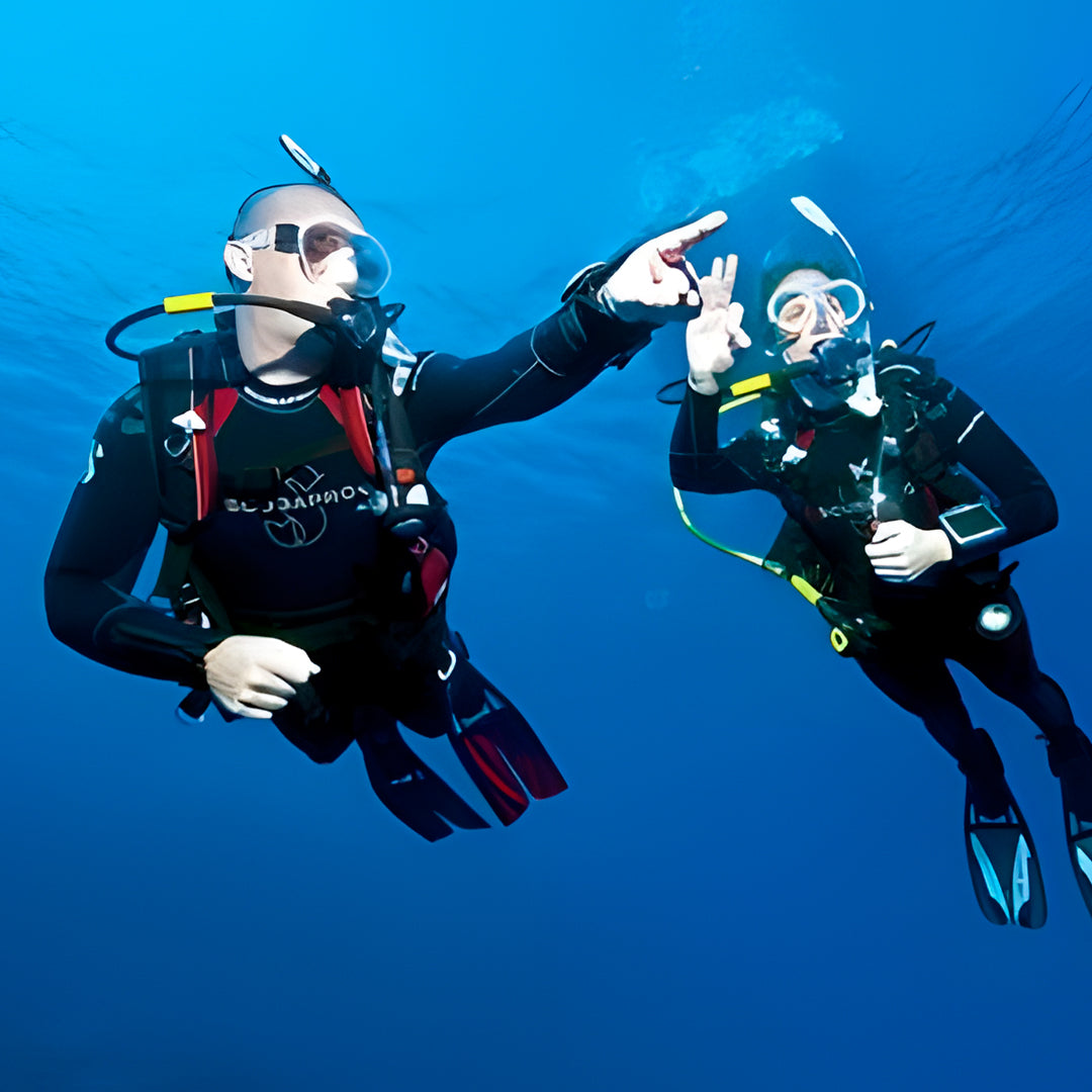 Fish Rock Cave Underwater Tunnel Dive Trip
