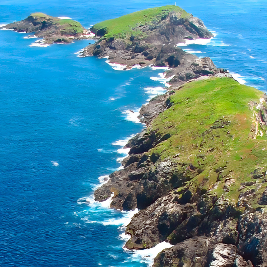 NSW Harbor Scuba Diving Boat Dive