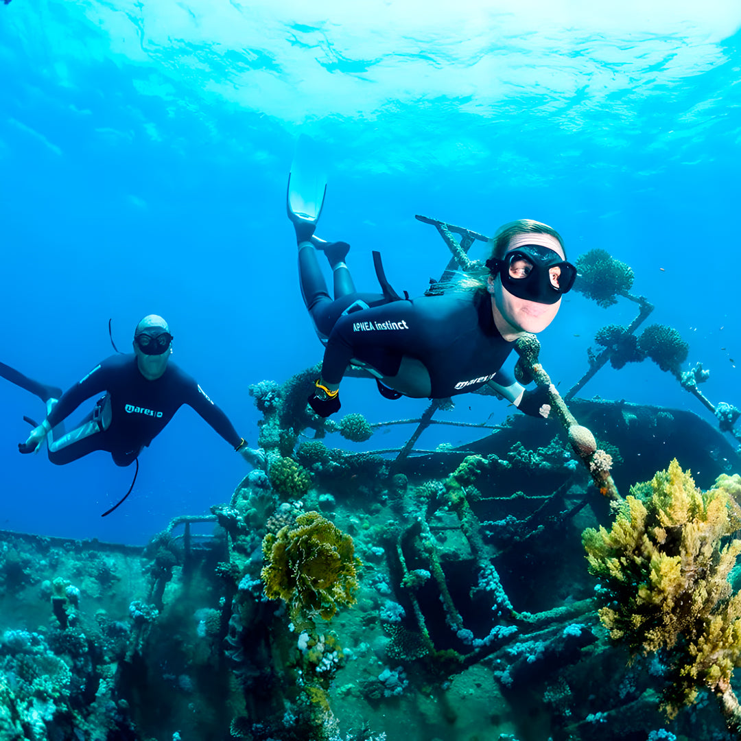 Fish Rock Cave Underwater Tunnel Dive Trip