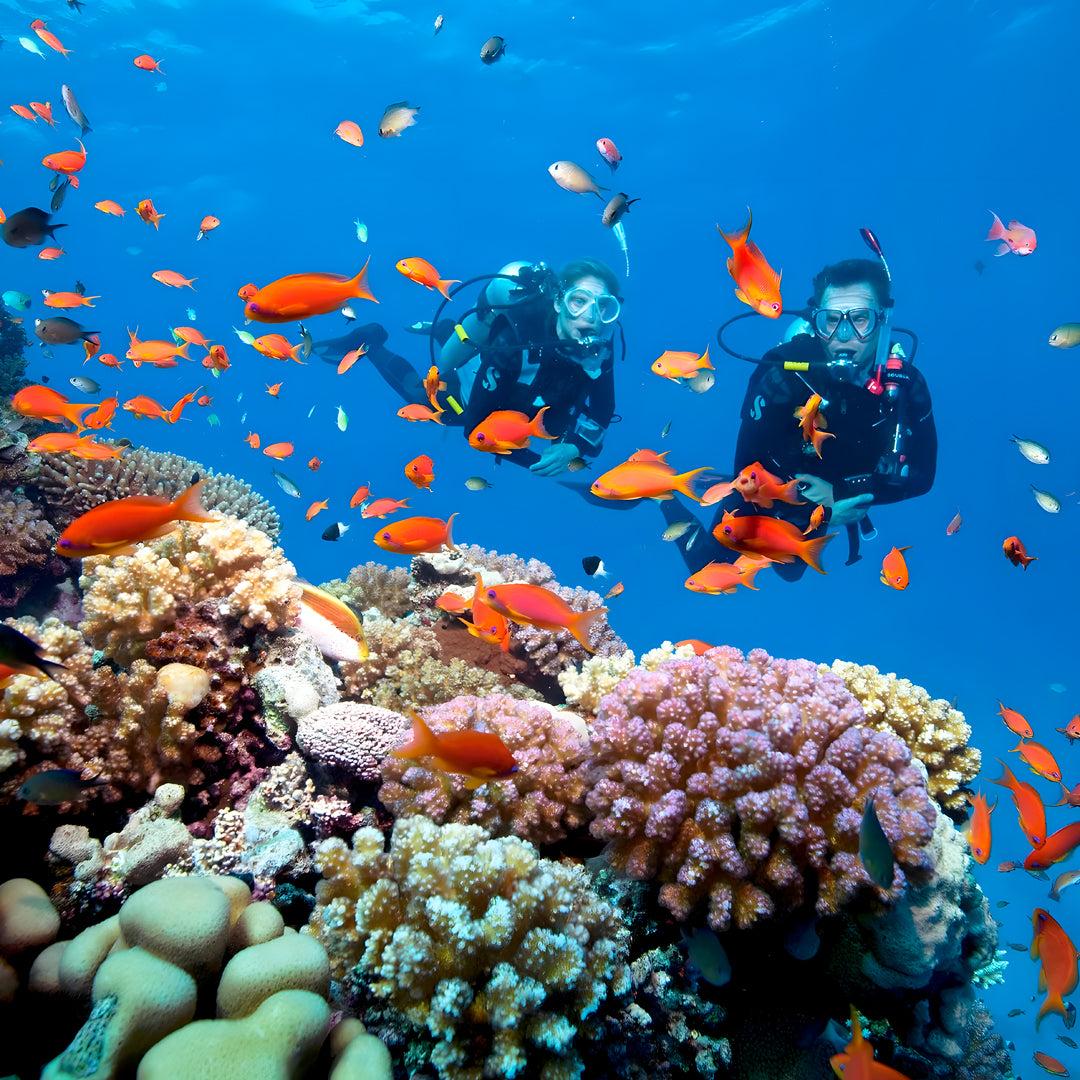 Advanced Technical Wreck Diving Course