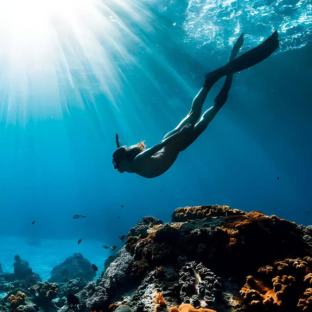 Try Scuba Diving in Central Coast Sydney