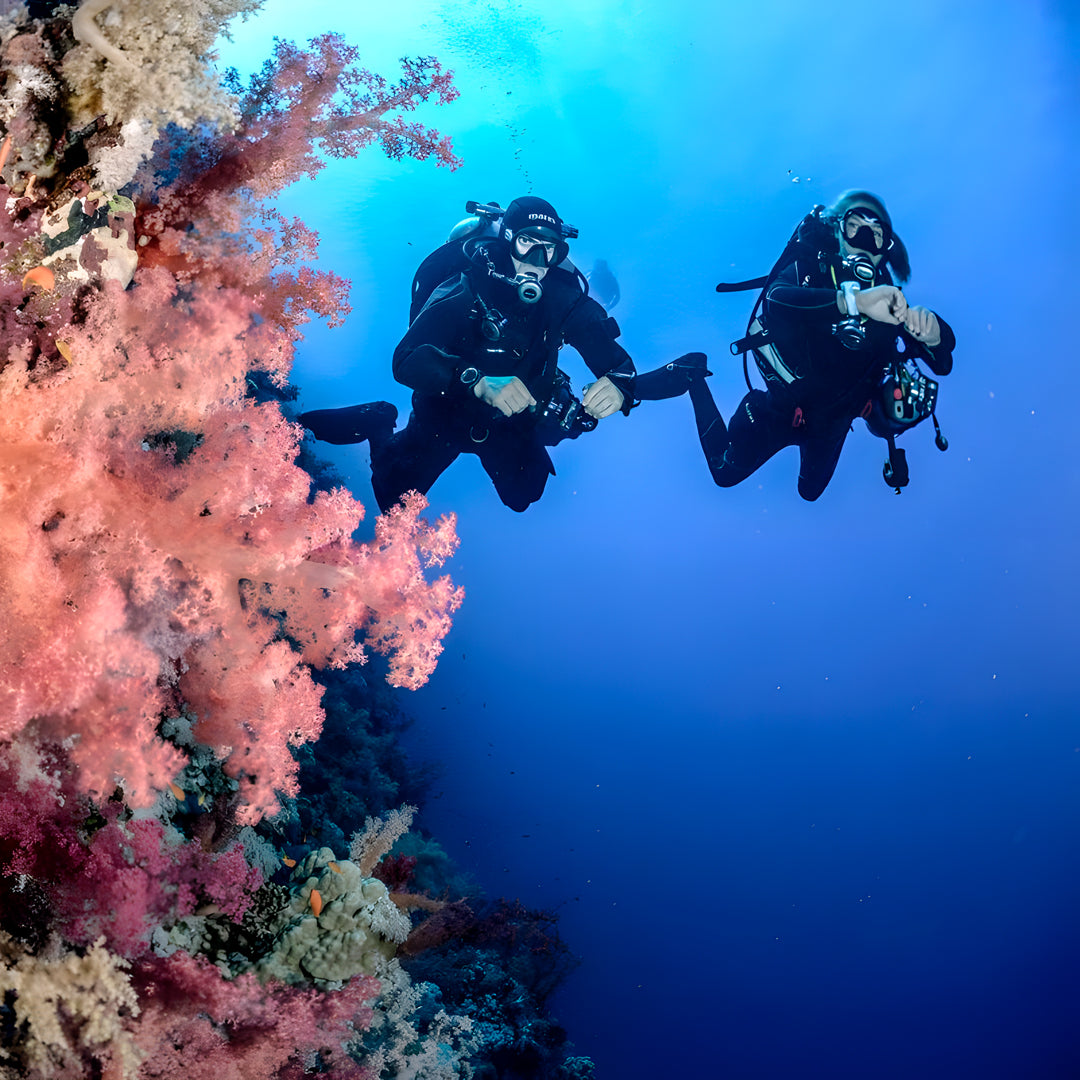 Fish Rock Cave Underwater Tunnel Dive Trip