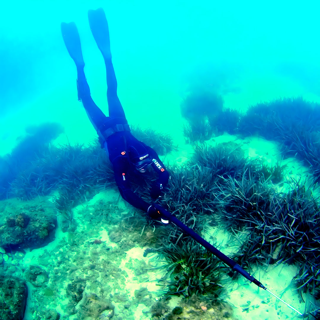 Fish Rock Cave Underwater Tunnel Dive Trip