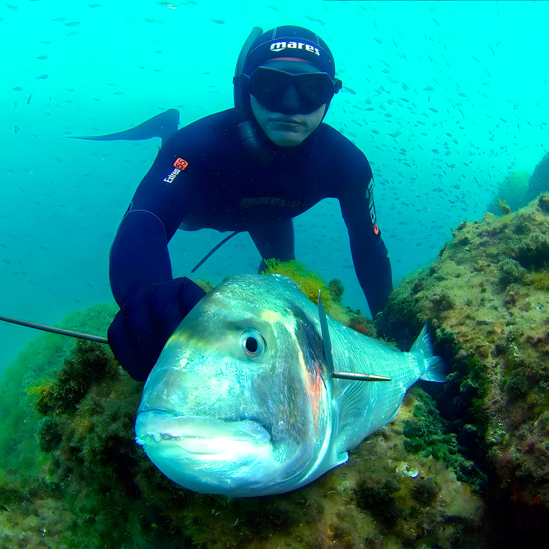 Speedwell Wreck Scuba Diving