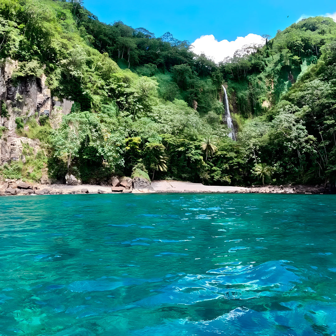 Cocos Island Scuba Diving Liveaboard JD Duff