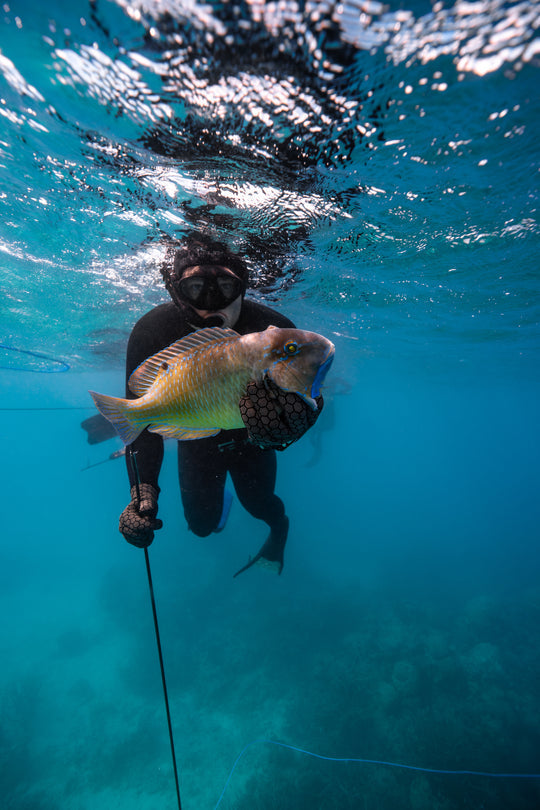 Remote Indonesia Spearfishing Liveaboard Trips