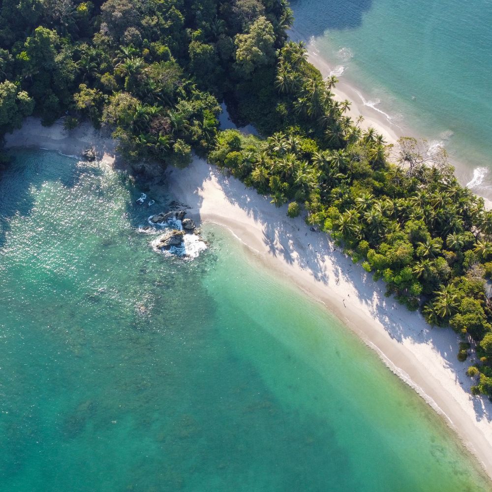 Beginner Spearfishing Course