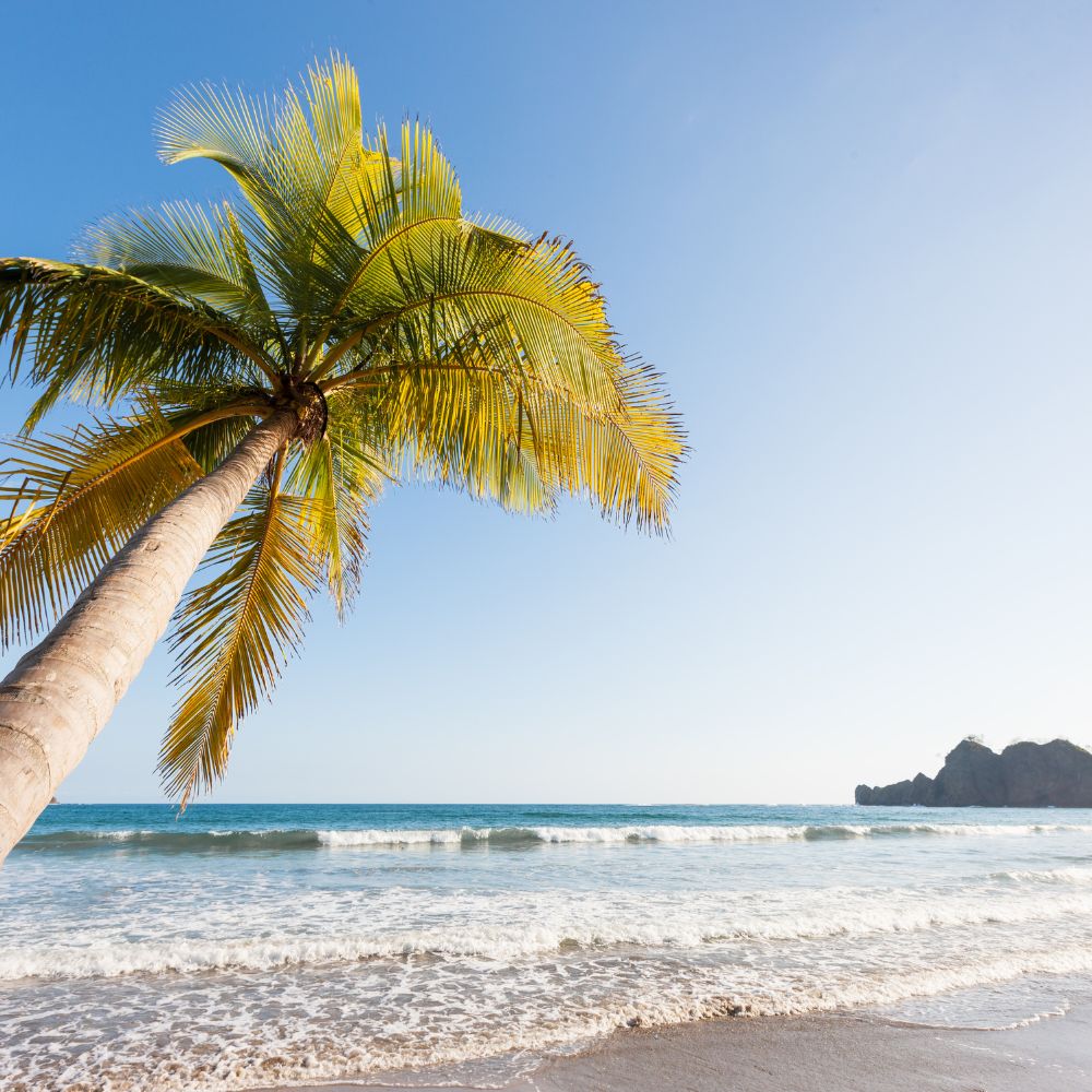 Beginner Spearfishing Course