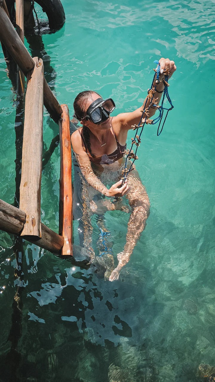 Raja Ampat Freediving & Coral Retreat