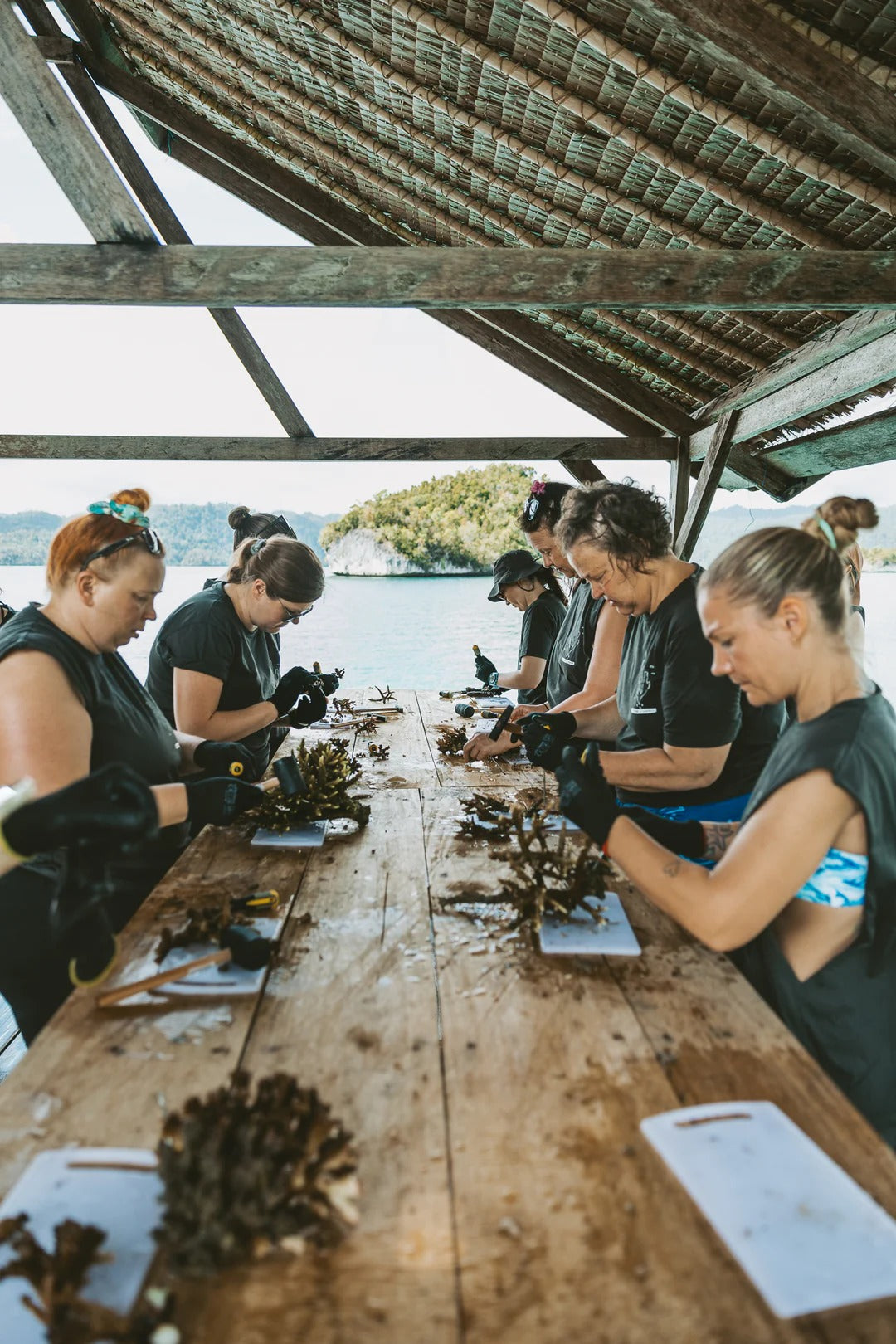 Raja Ampat Freediving & Coral Retreat
