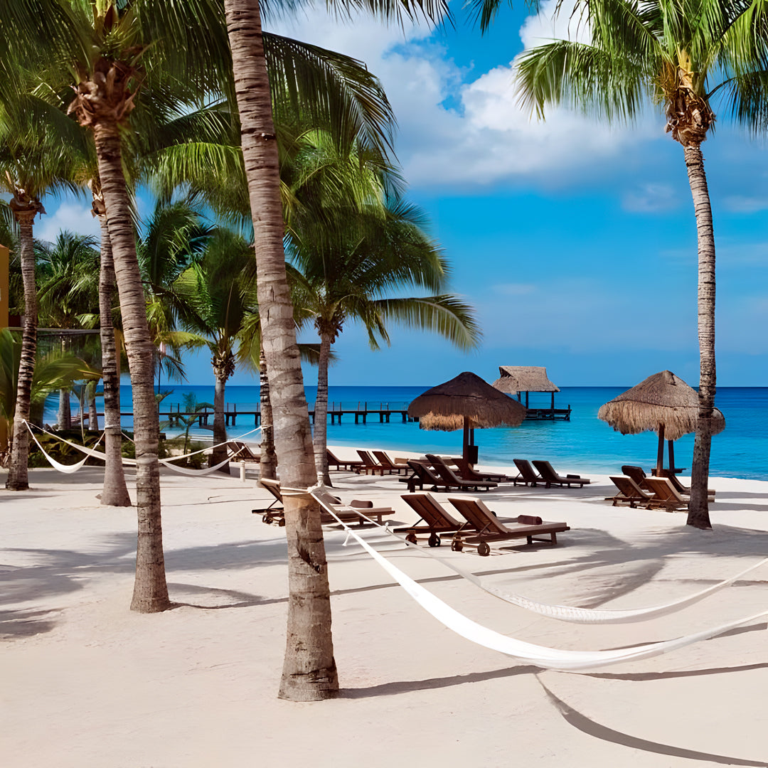 Cozumel Scuba Diving Retreat JD Duff