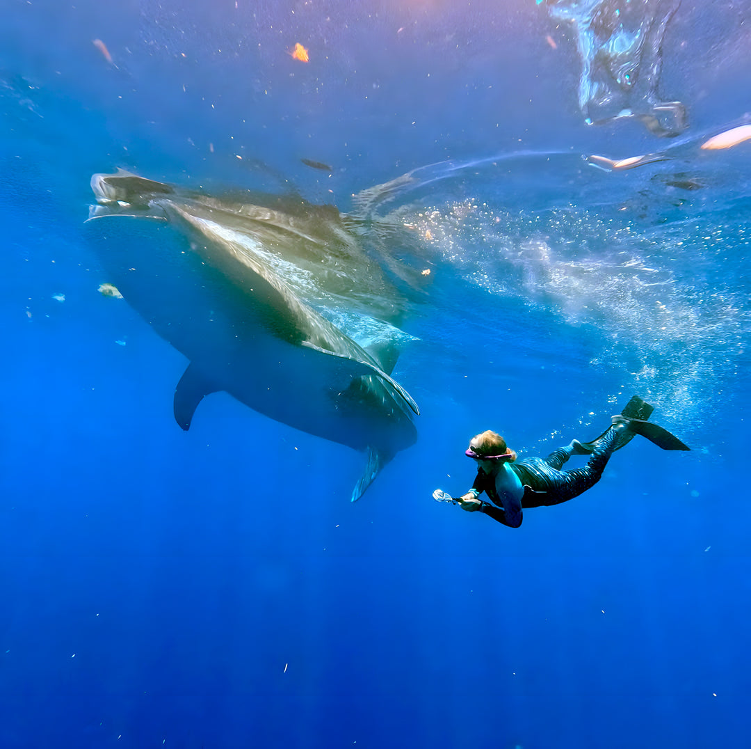 Cozumel Scuba Diving Retreat JD Duff
