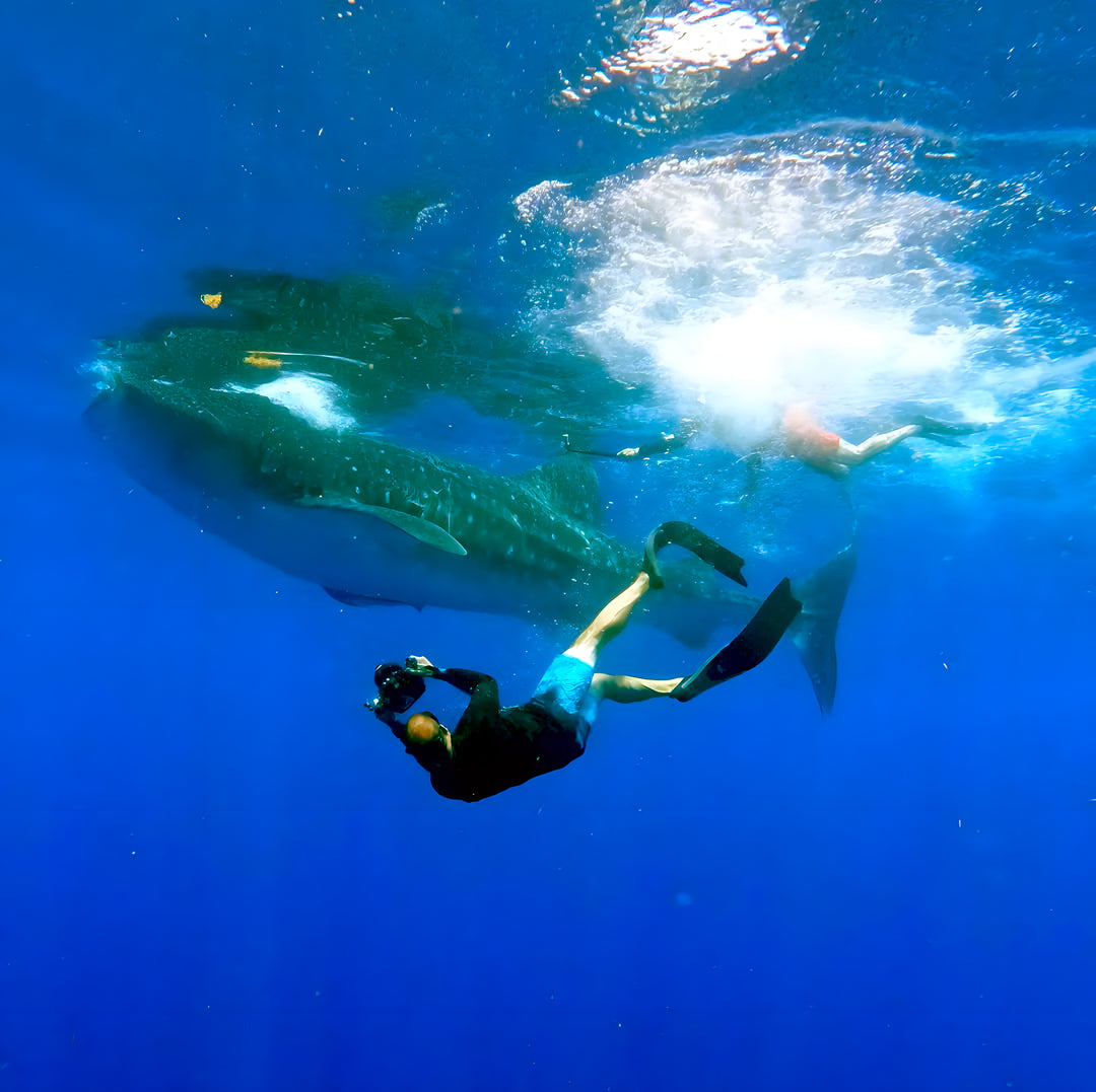 Cozumel Scuba Diving Retreat JD Duff