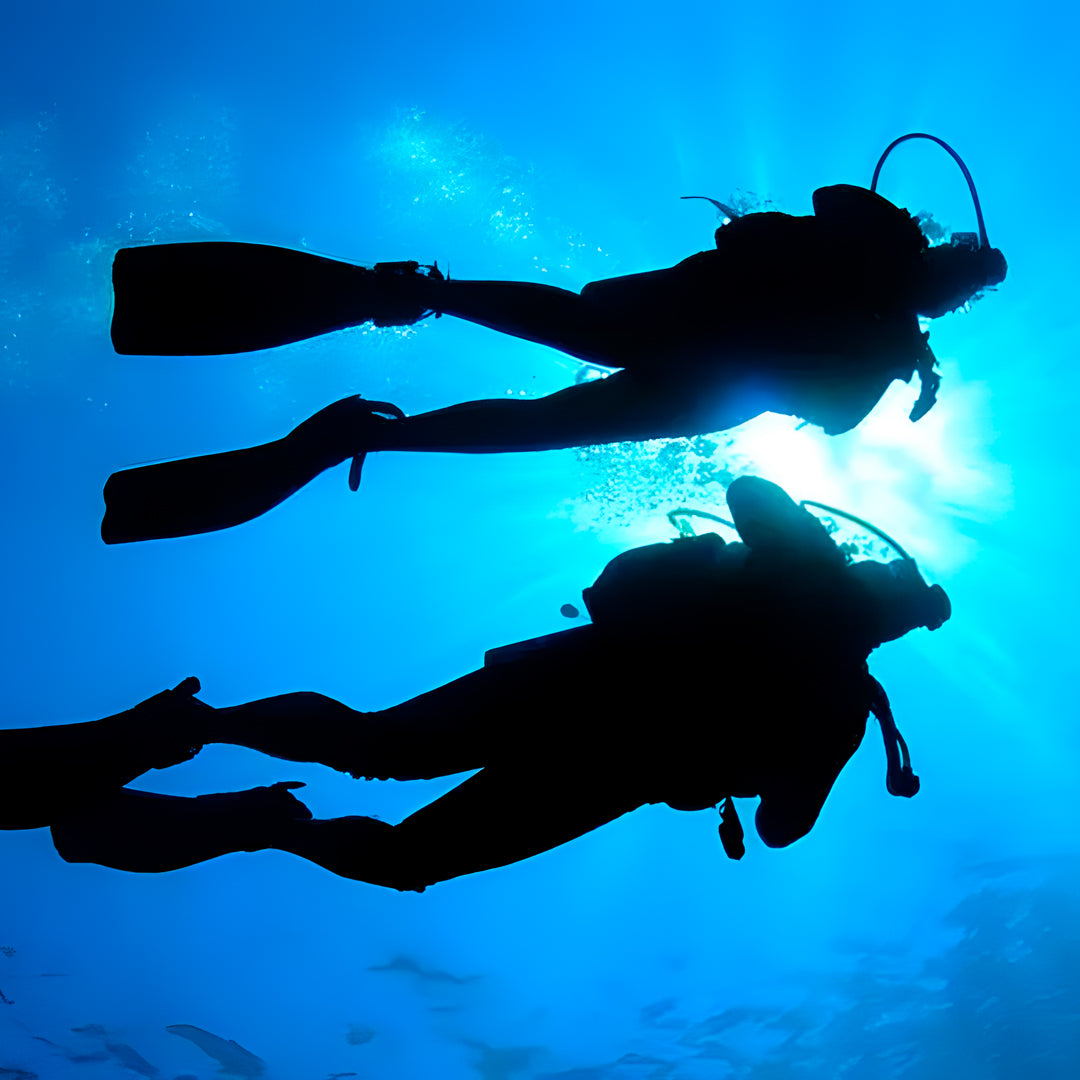 Cuba Liveaboard Adventure