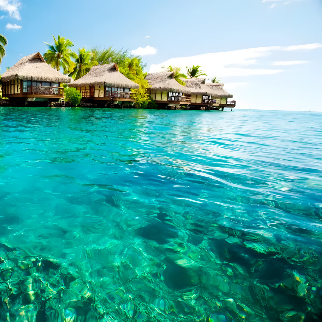 Cuba Liveaboard Adventure