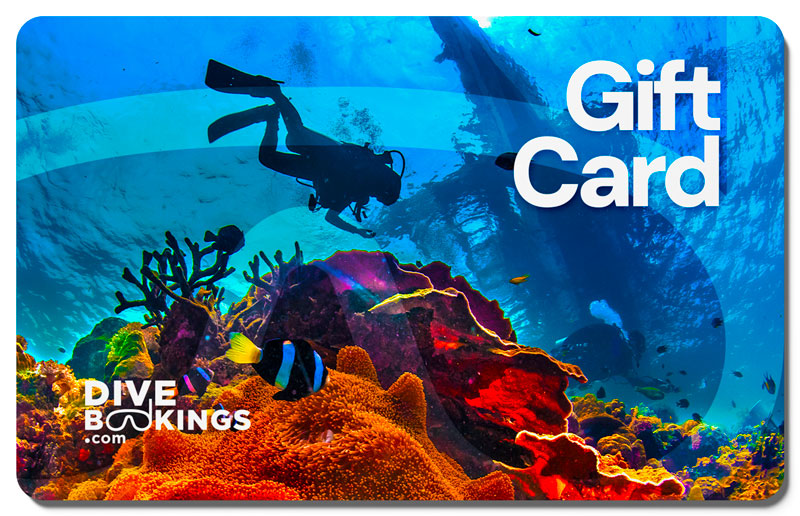 Reef Explorer Design