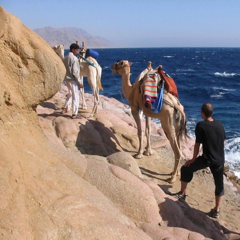 Dahab Scuba Diving Day Trip