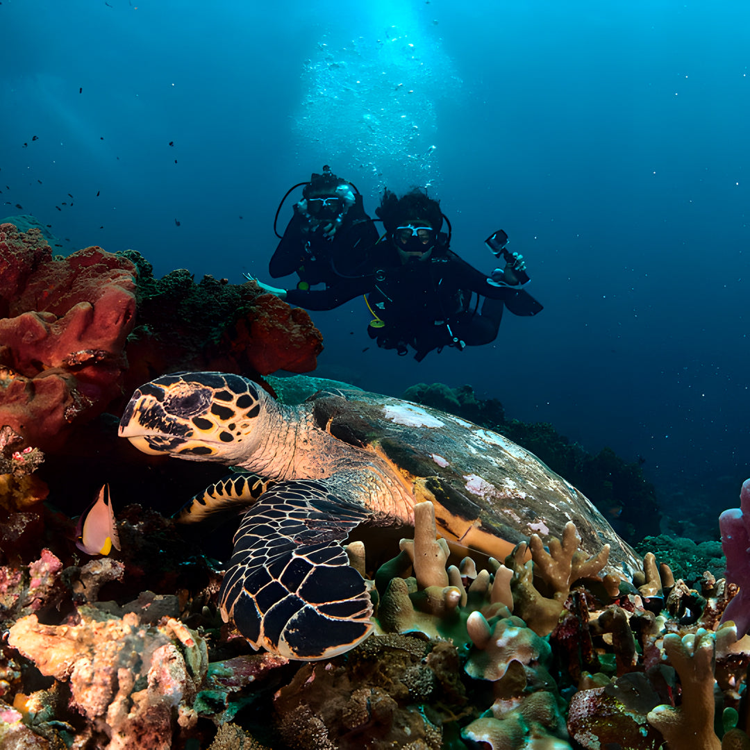 Nusa Penida Fun Dive for Advanced Divers