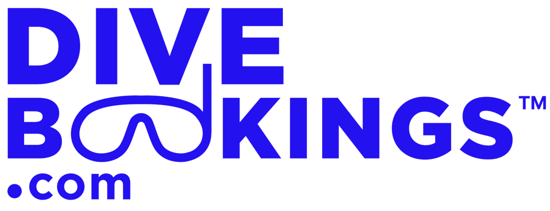 DiveBookings.com blue logo