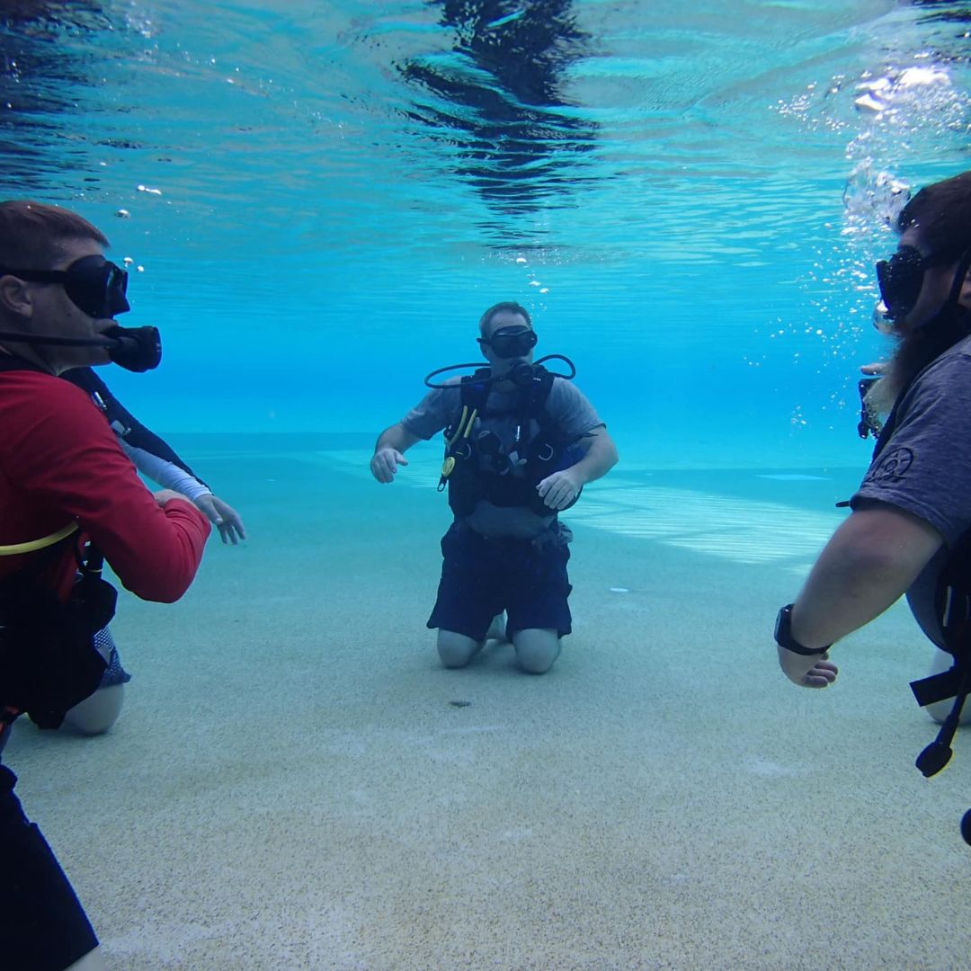 Discovery Scuba Diving in Darwin