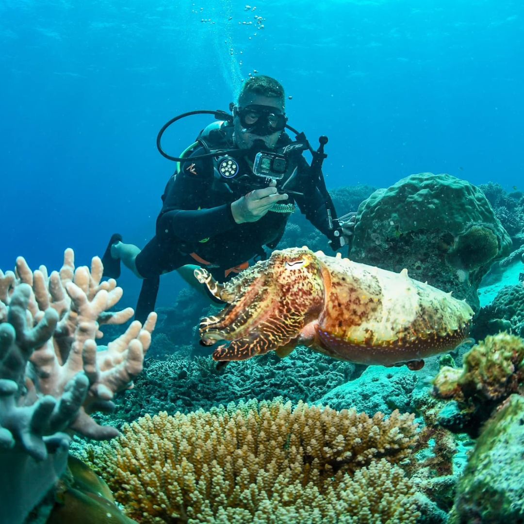 Discovery Scuba Diving in Darwin