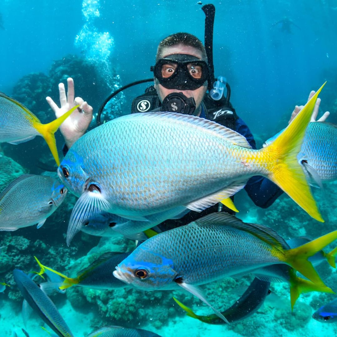 Discovery Scuba Diving in Darwin