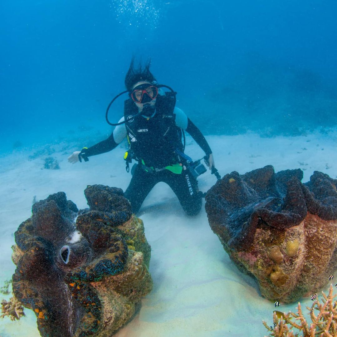 Discovery Scuba Diving in Darwin