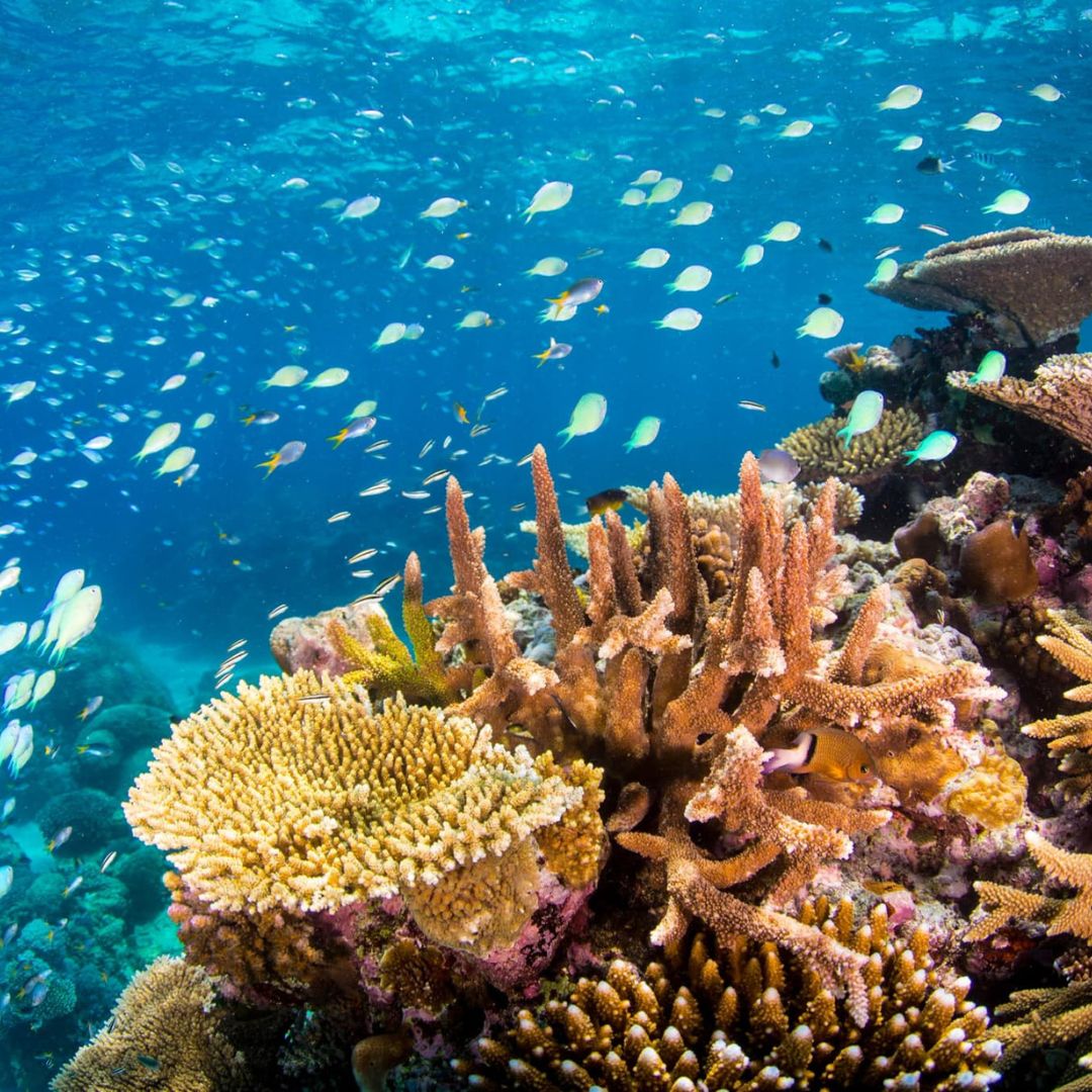 PADI Advanced Scuba Diving Course