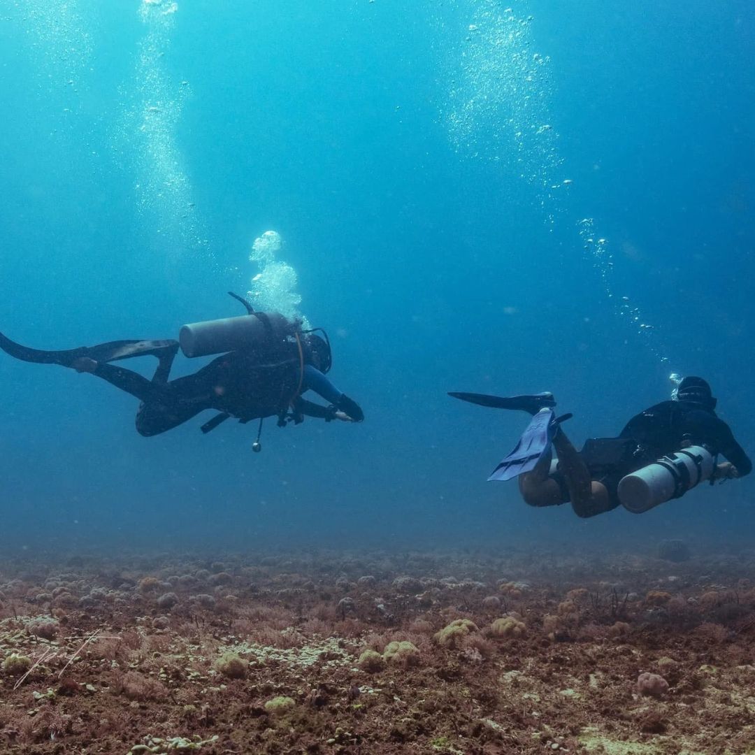 SSI Dive Guide Scuba Diving Course