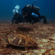 Boracay Advanced Open Water Scuba Diving Course