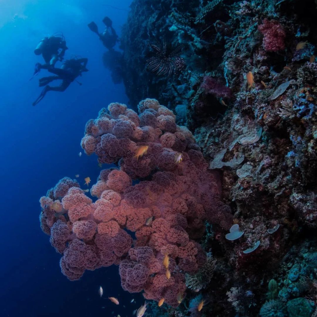 Boracay Island Basic Scuba Diver Course