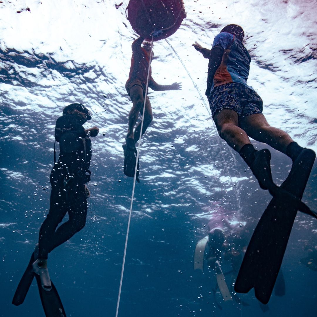 Introduction to Freediving Program