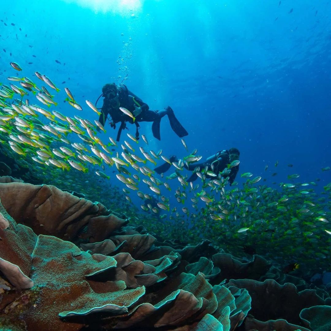Boracay Island Basic Scuba Diver Course
