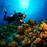 South Ari Atoll Scuba Diving Resort Trip