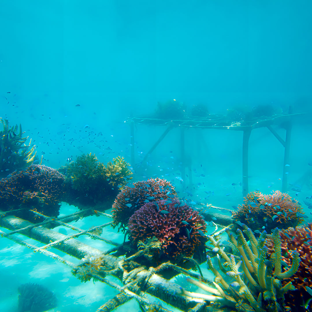 SSI Rescue Diver Course in Maldives