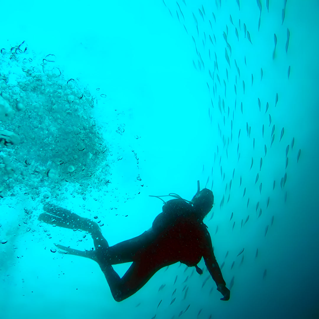 Dive & Relax Package in Maldives