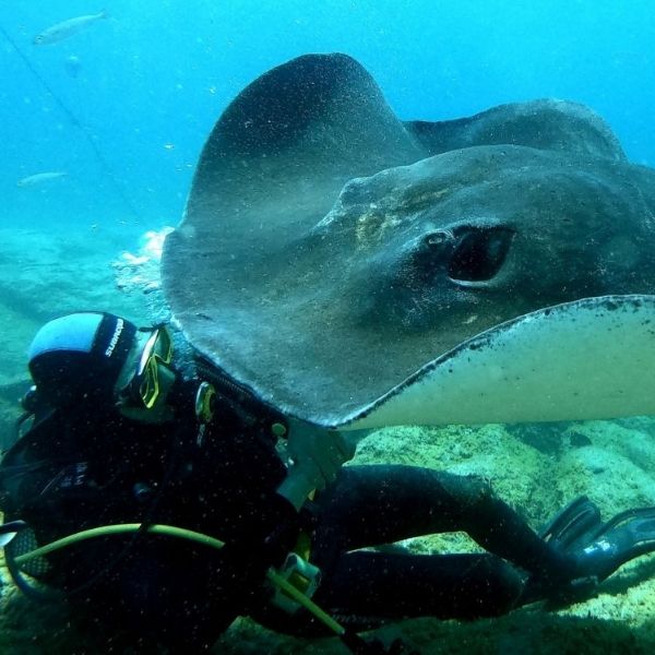 PADI Open Water Scuba Course