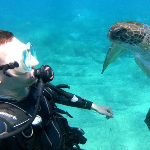 Beginner Discovery Scuba Dive