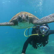 Beginner Discovery Scuba Dive