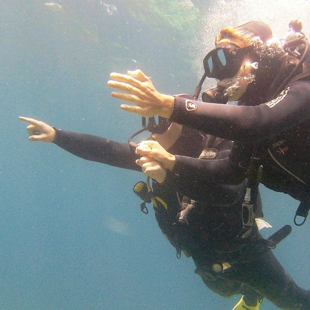 Discover Scuba Diving Experience