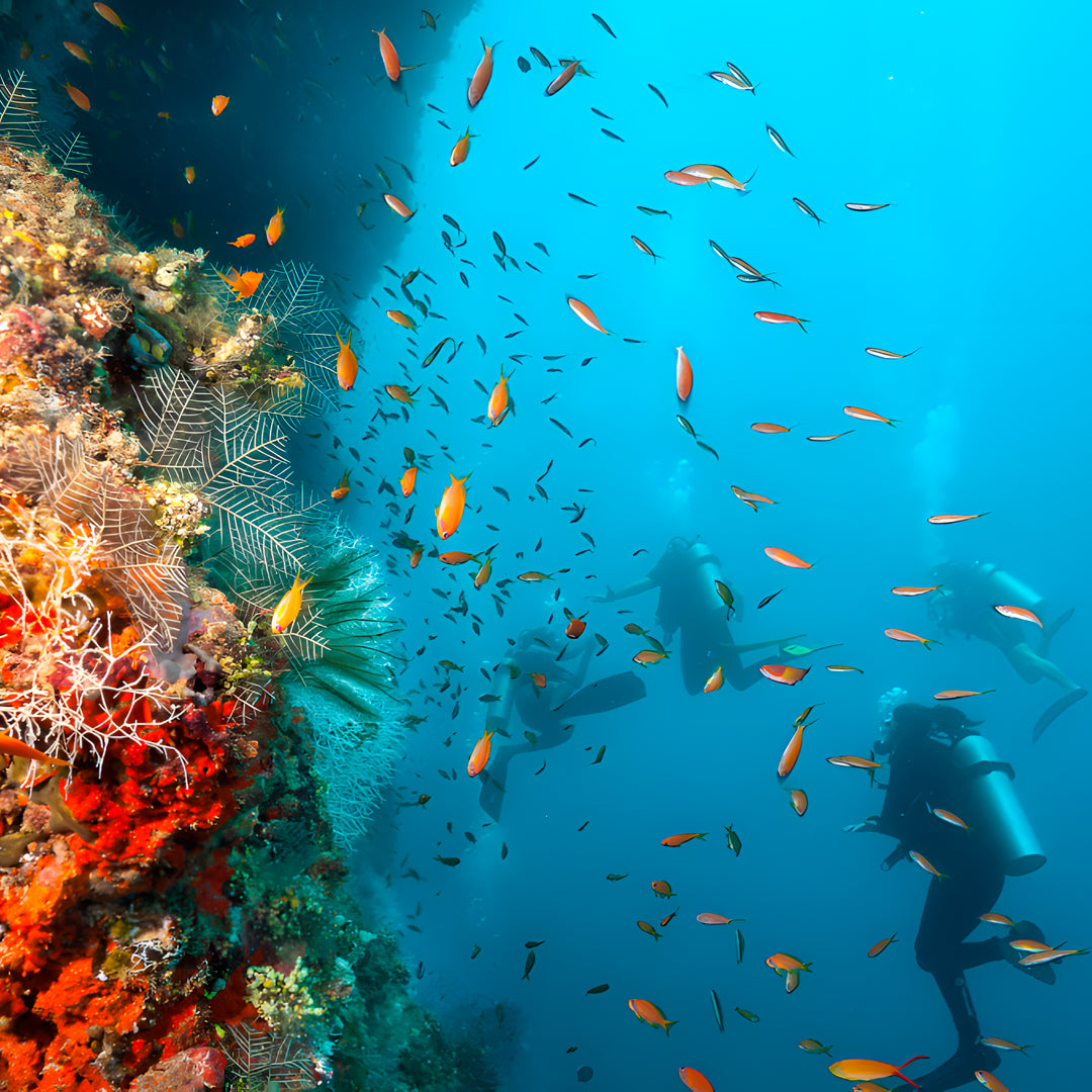 Maldives SSI Open Water Diver Course