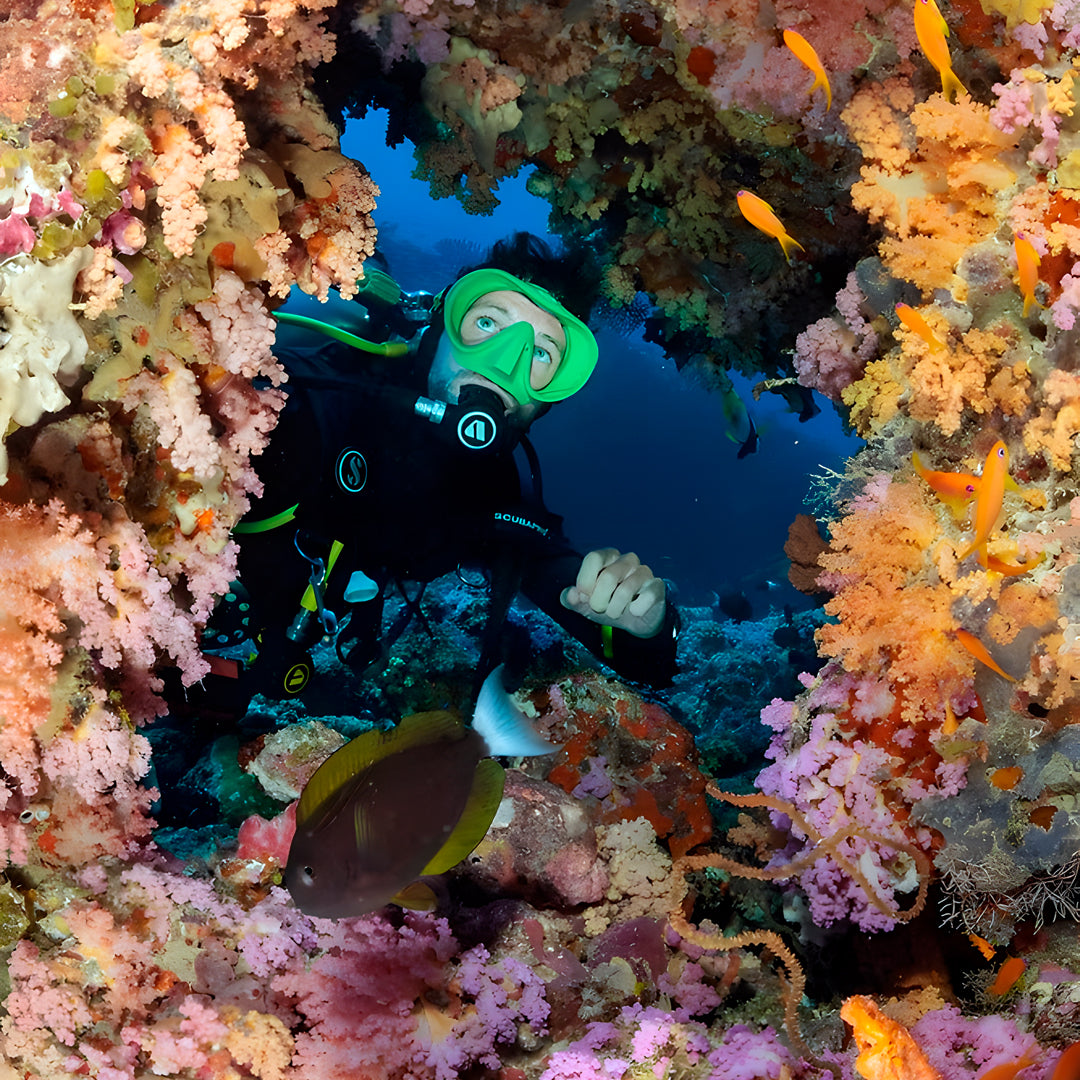 10-Night Maldives Dive Adventure
