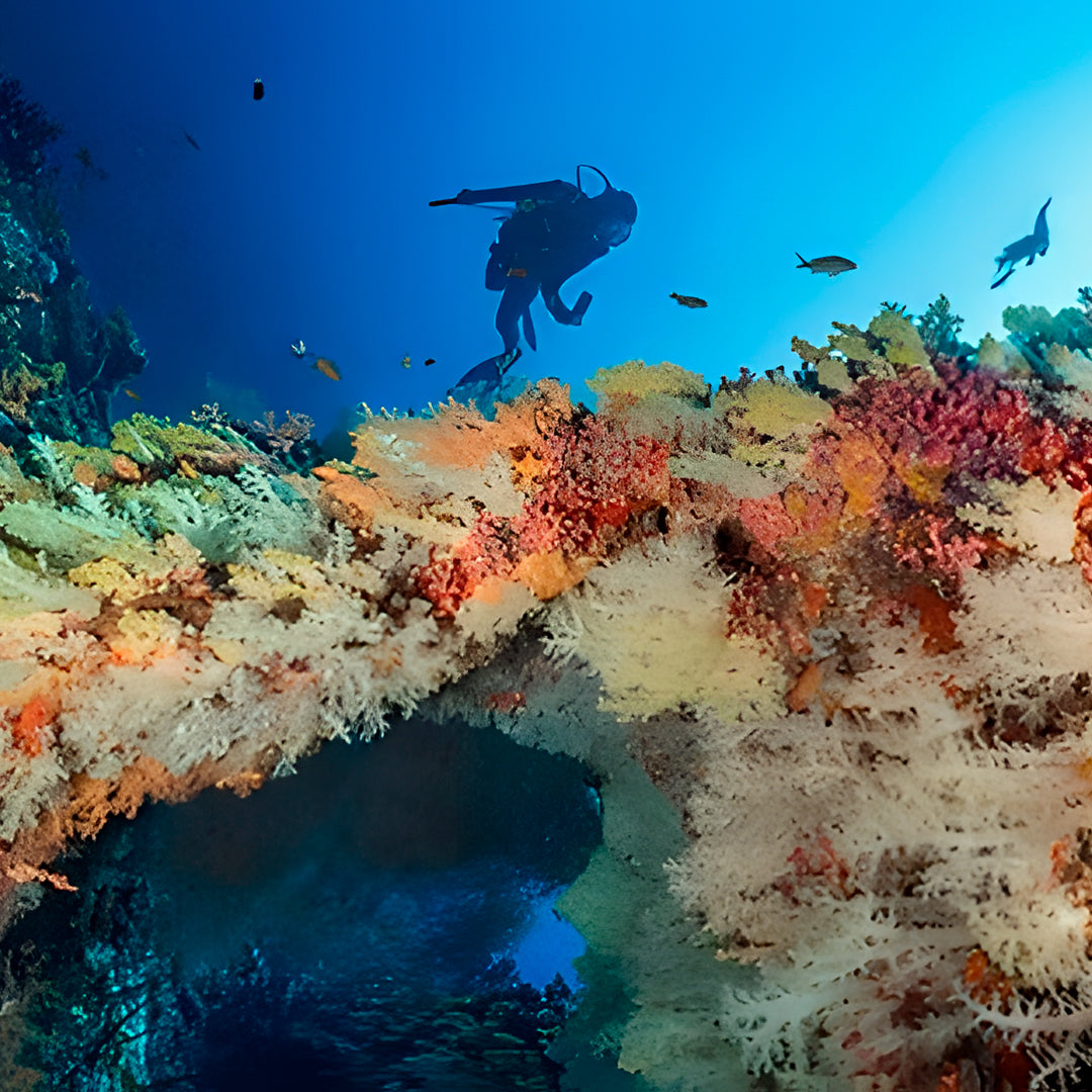 Vaavu Atoll Reef Scuba Diving Week