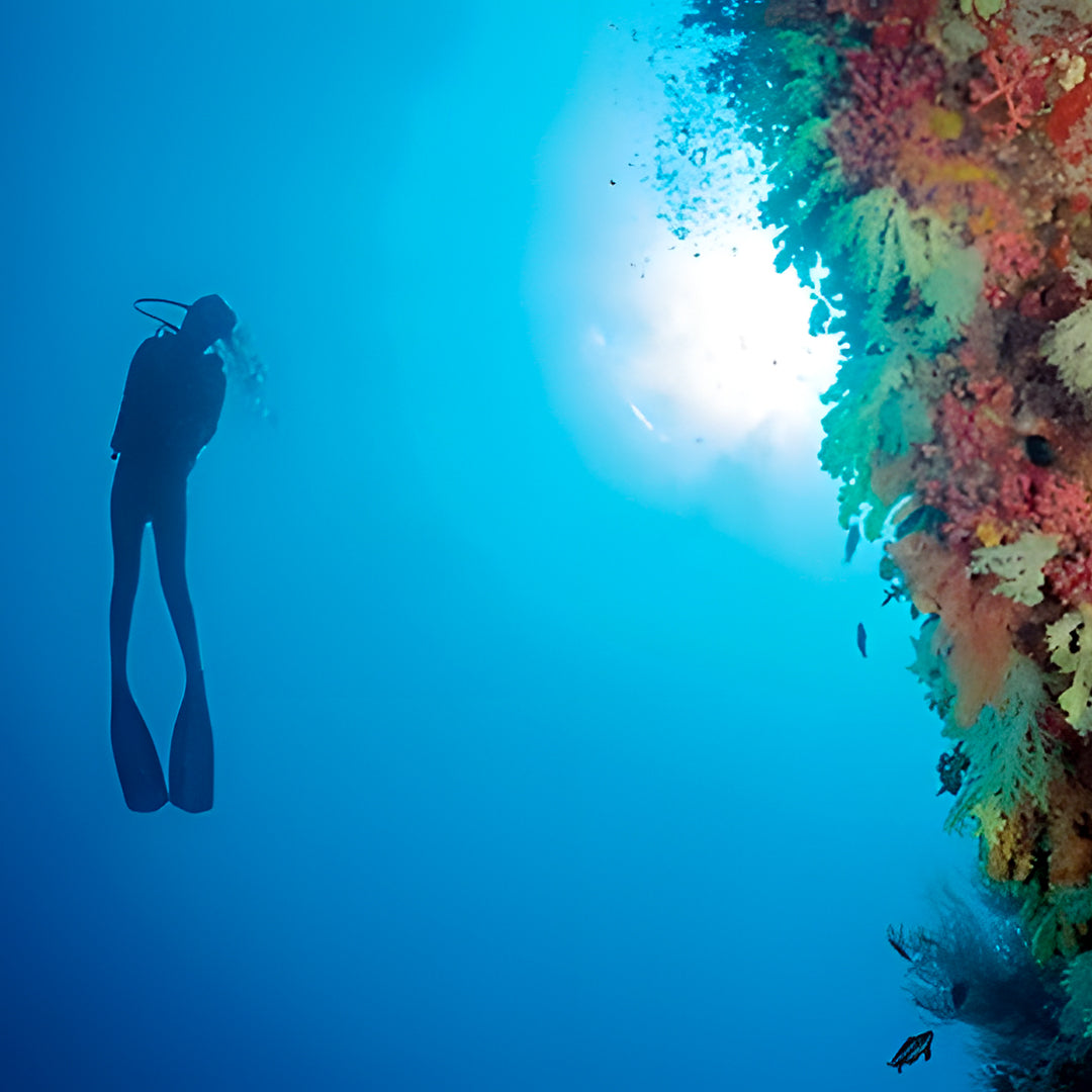 Maldives Advanced Open Water Diver Course and Stay