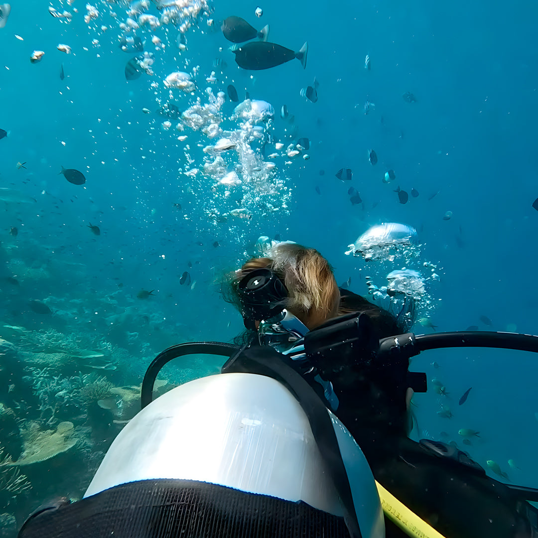 Vaavu Atoll Maldives Dive Holiday