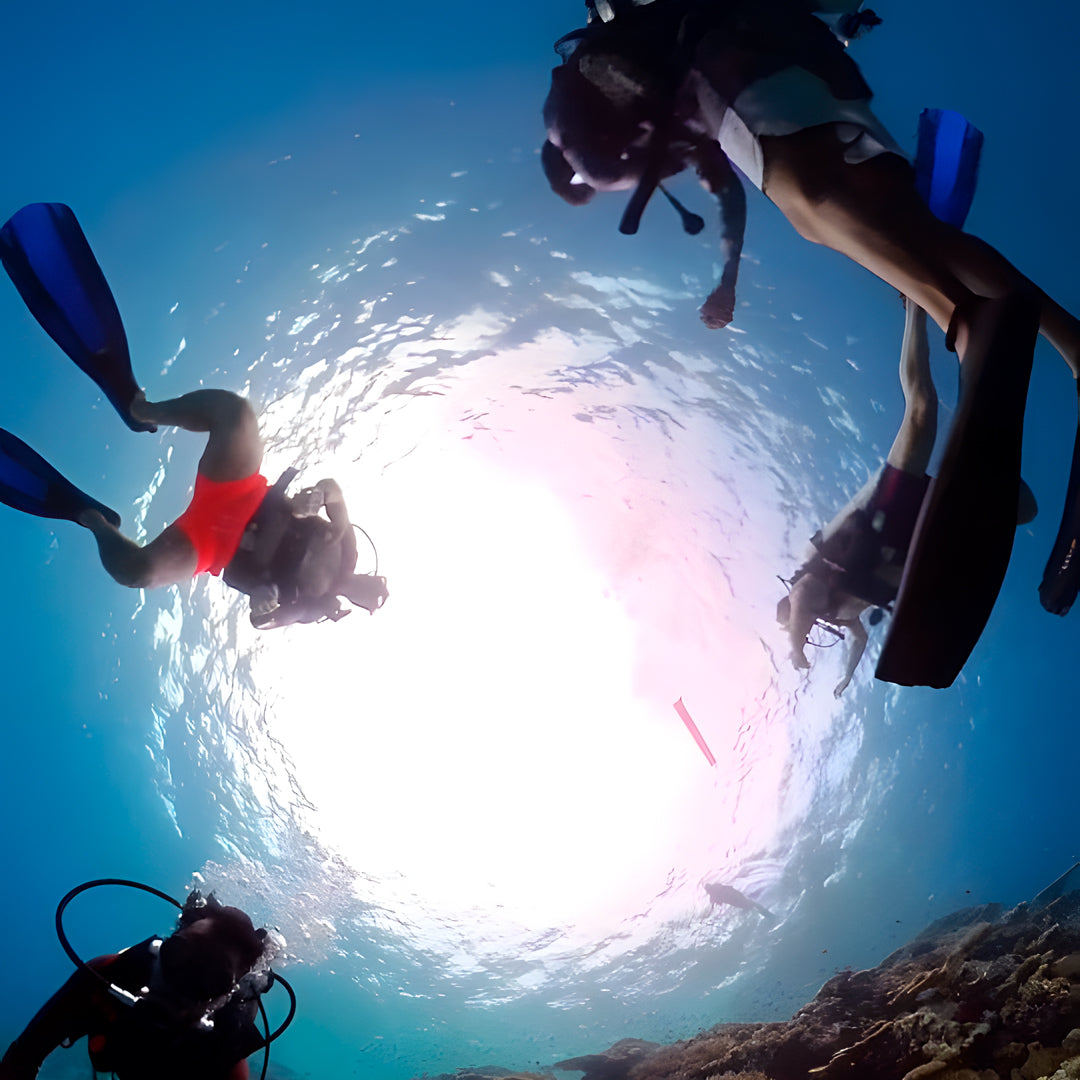 Ultimate Maldives Dive Expedition