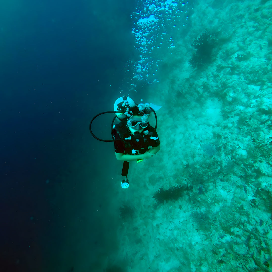 Vaavu Atoll Reef Scuba Diving Week